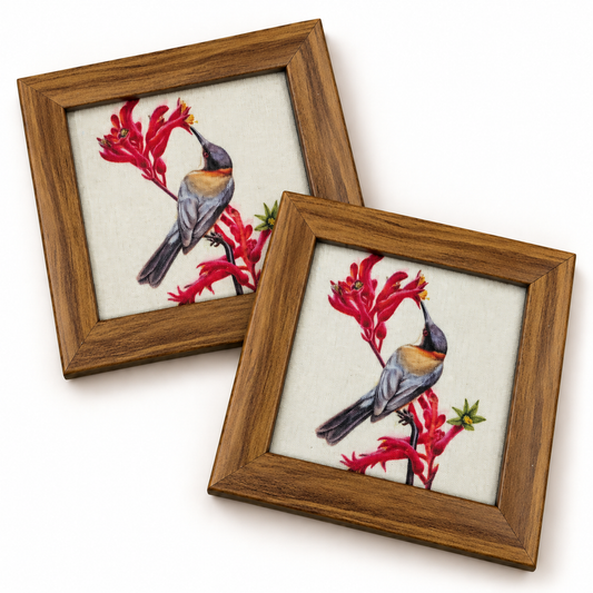 Bulbul Coaster — Pack of 2 Hero