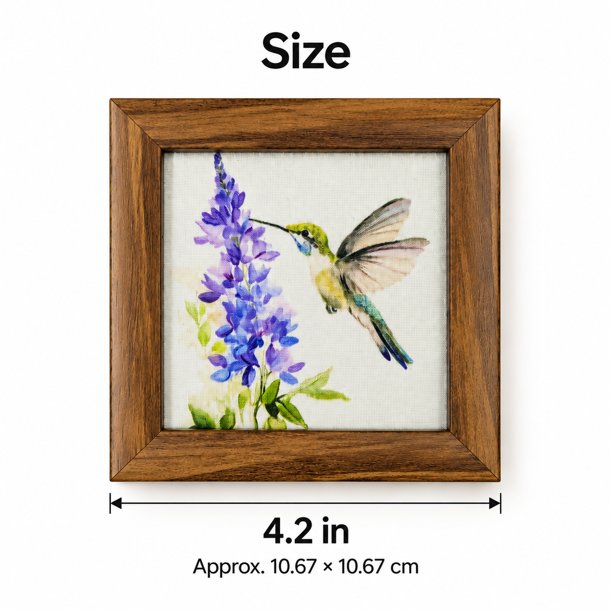Gunjan Coaster — Size