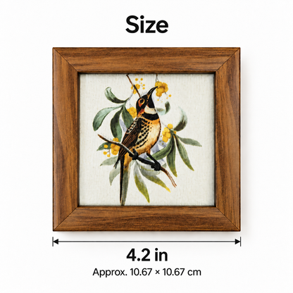 Myna Coaster — Size