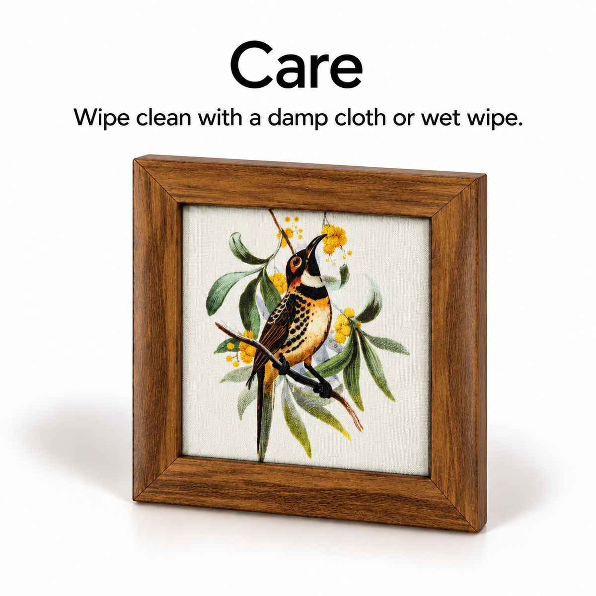 Myna Coaster — Care