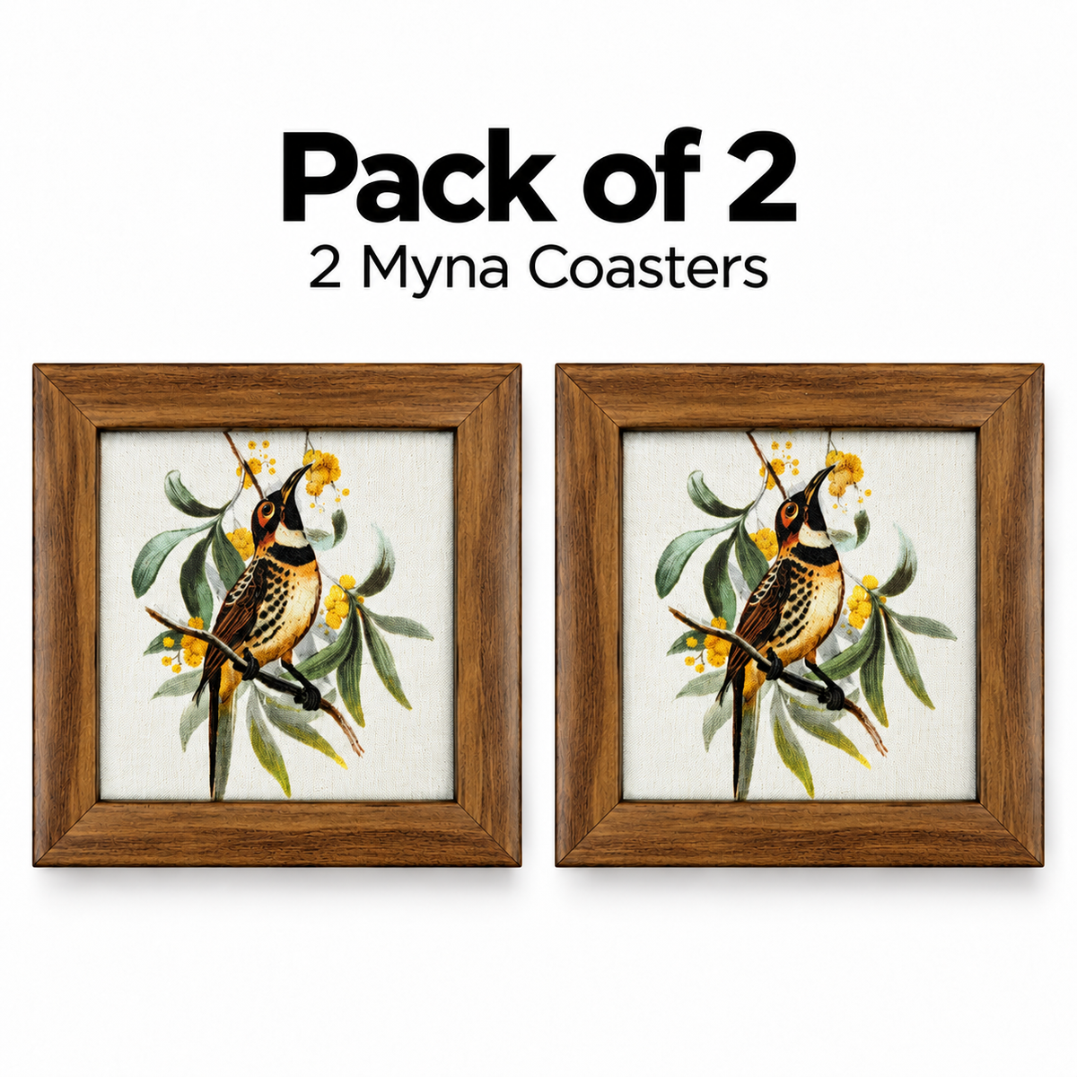 Myna Coaster — Pack of 2 Contents