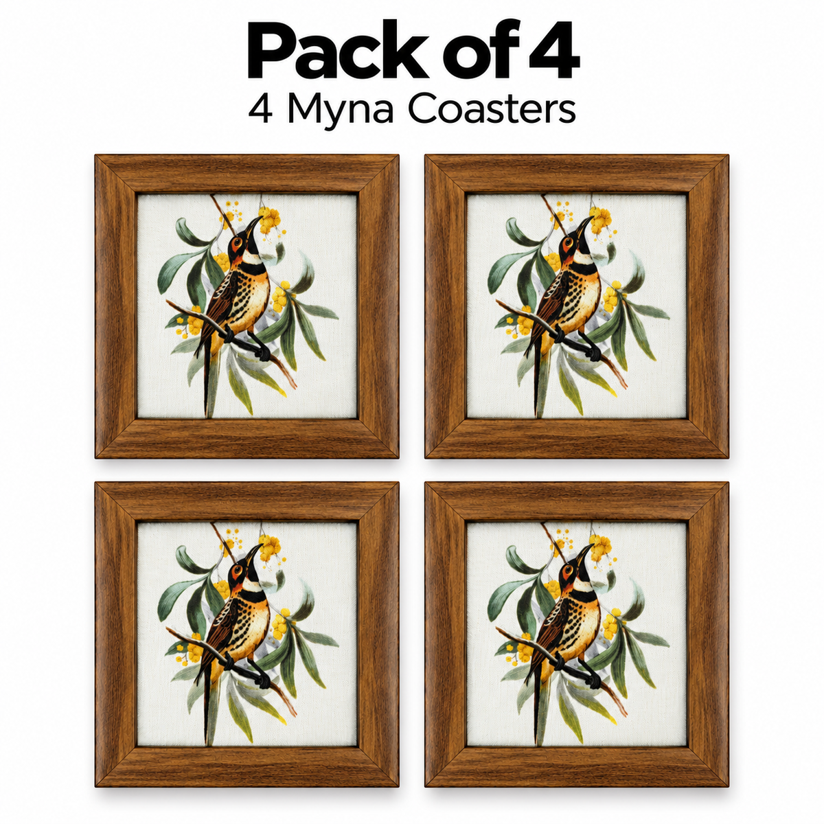 Myna Coaster — Pack of 4 Contents