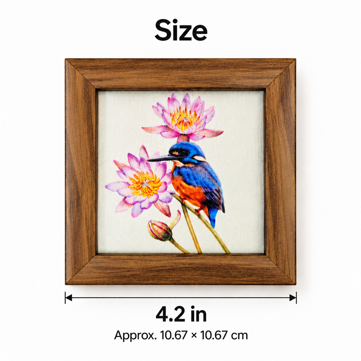 NeelKantha Coaster — Size